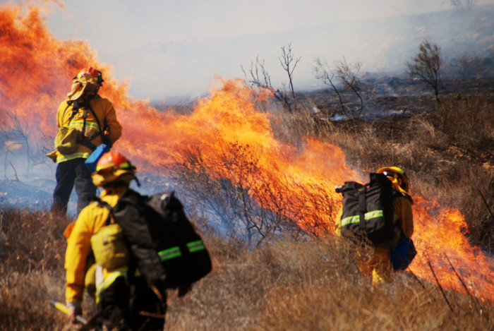 2019 Fire Season Emergency Funding Alert